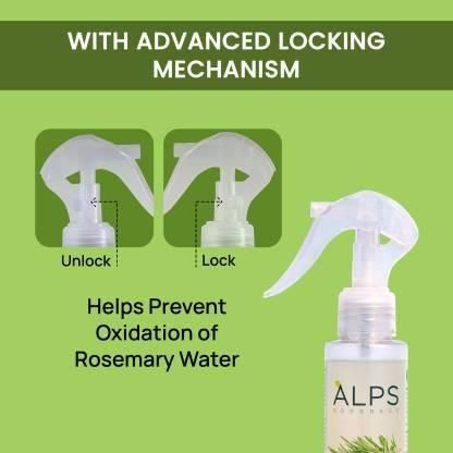 🌿✨ Rosemary Hair Regrowth Spray (Pack of 3)